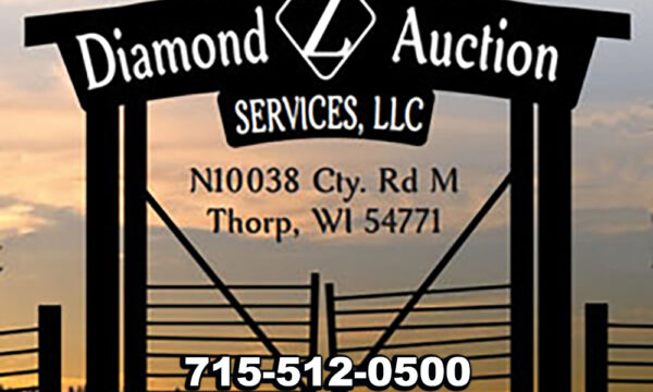 diamond-z-logo diamond-z-logo